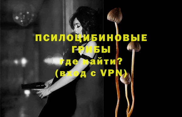 герыч Зеленодольск
